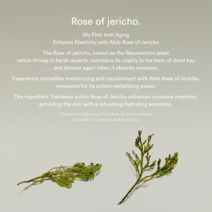 aprašymas abib jericho rose bifida serum – stangrinamasis serumas su jericho rože jericho rožė ir trehalozė – intensyvi drėgmės injekcija sudėtyje esanti jericho rožė (rose of jericho) ir trehalozė padeda ilgiau išlaikyti drėgmę odoje, suteikia gaivumo, elastingumo ir švytėjimo. fermentuotas bifida ekstraktas odos stangrumui unikali abib bifida fermentacijos technologija palaiko odos stangrumą, lygumą ir atsinaujinimą, stiprina odos barjerą ir pagerina jos atsparumą aplinkos poveikiui. pusiau emulsinė tekstūra – be lipnumo lengva, nelipni tekstūra giliai drėkina, bet neapsunkina odos. hipoalerginė formulė tinkama net jautriai odai ir padeda stangrinti poras. rekomenduojama visiems odos tipams, ypač brandžiai, pavargusiai, drėgmės stokojančiai odai. talpa: 50ml pagaminta: pietų korėjoje naudojimas sudėtis abib jericho rose bifida serum firming drop stangrinamasis serumas 50ml