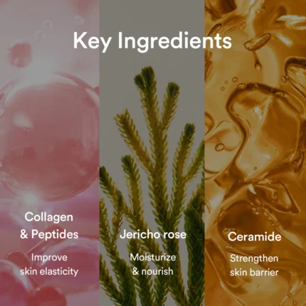 abib collagen gel mask jericho rose jelly veido kaukė su kolagenu 1vnt.