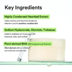 abib heartleaf spot pad calming touch raminamieji veido padeliai